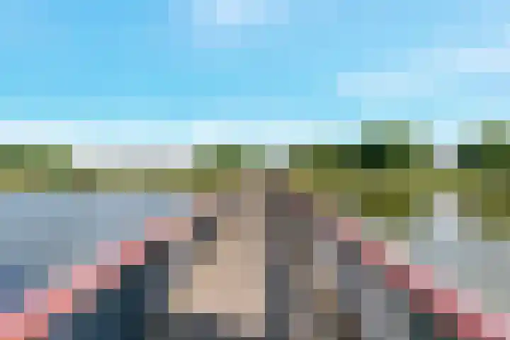 Honswijkpolder 39 De Meern thumbnail 46