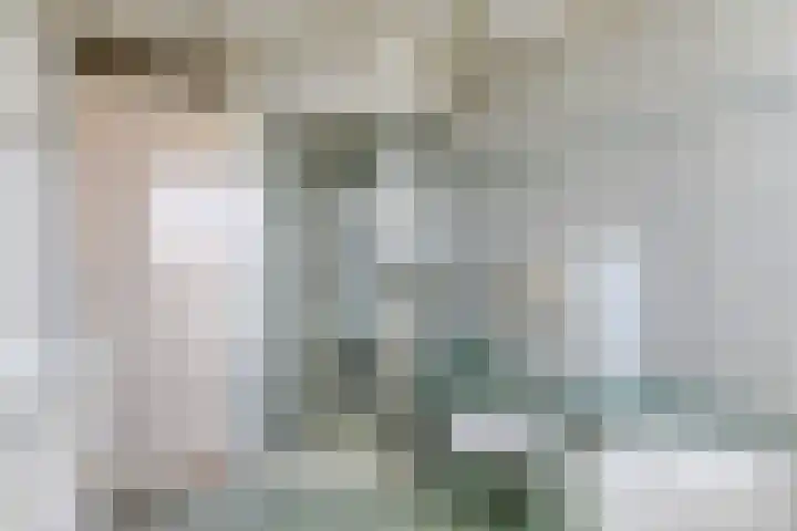 Hontestraat 14 Rilland thumbnail 15