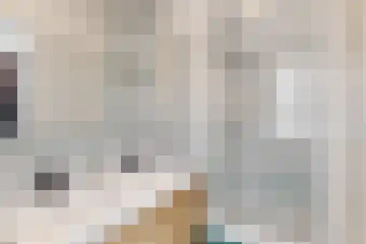 Honthorstlaan 18 Alkmaar thumbnail 23