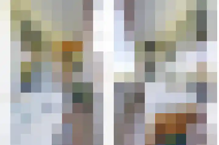 Honthorstlaan 216 Alkmaar thumbnail 15