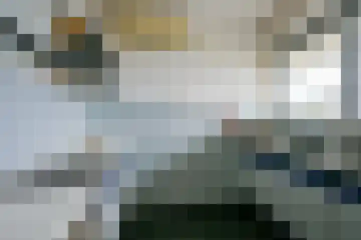 Honthorstlaan 364 Alkmaar thumbnail 23