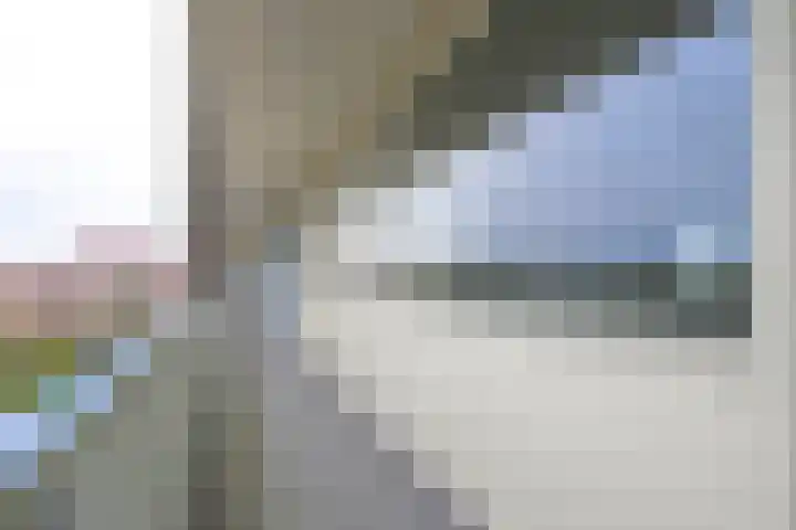 Honthorstlaan 364 Alkmaar thumbnail 28