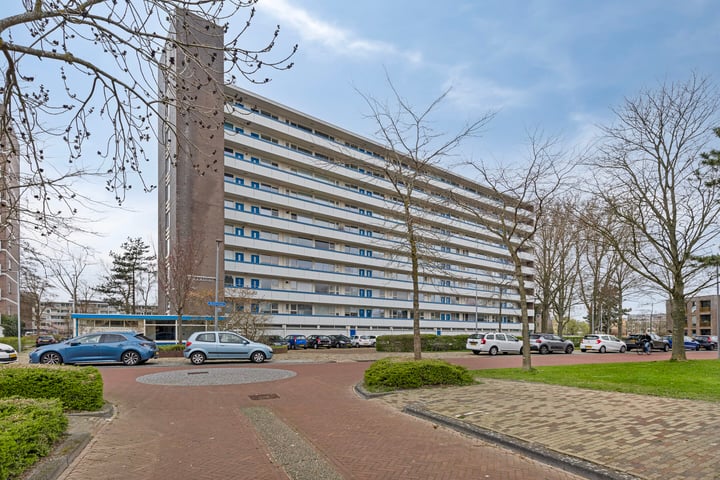 Honthorstlaan 54 in Alkmaar foto