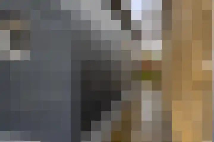 Hoofd 27 Zuidland thumbnail 10