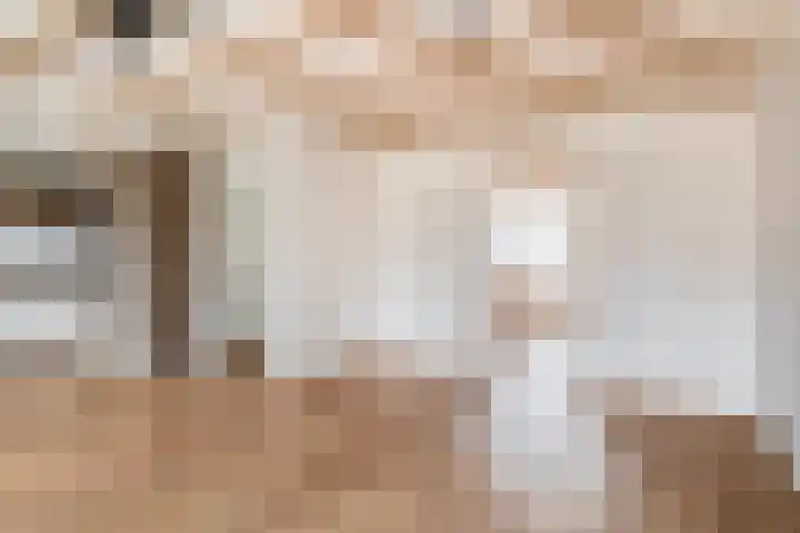 Hoofd 27 Zuidland thumbnail 17