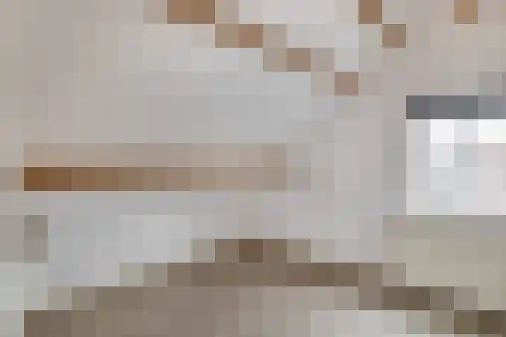 Hoofd 27 Zuidland thumbnail 24