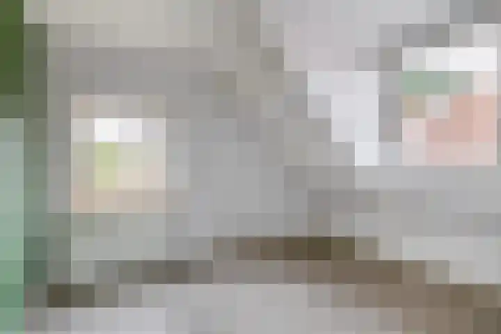 Hoofd 27 Zuidland thumbnail 26