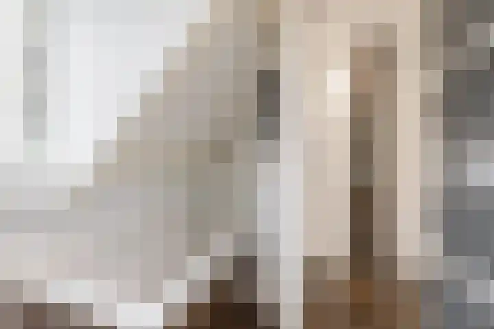 Hoofd 27 Zuidland thumbnail 31