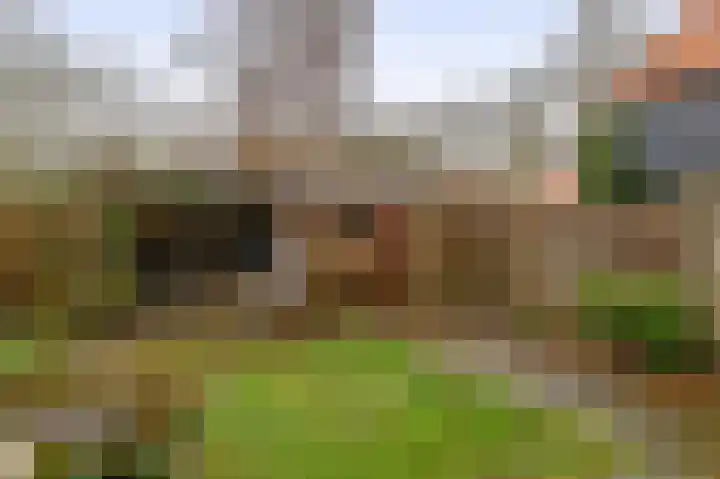 Hoofd 27 Zuidland thumbnail 34