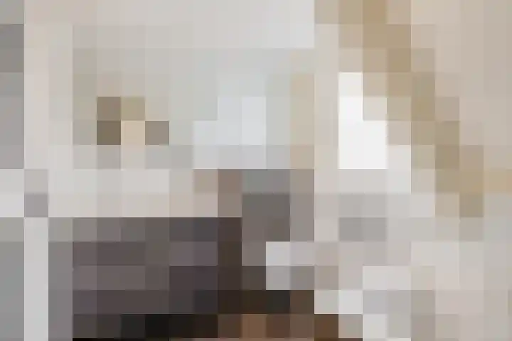Hoofd 27 Zuidland thumbnail 4