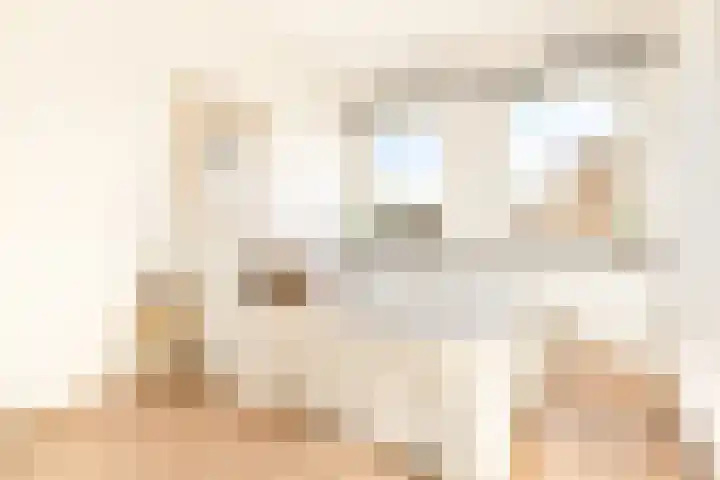 Hoofdbank 22 Klimmen thumbnail 11