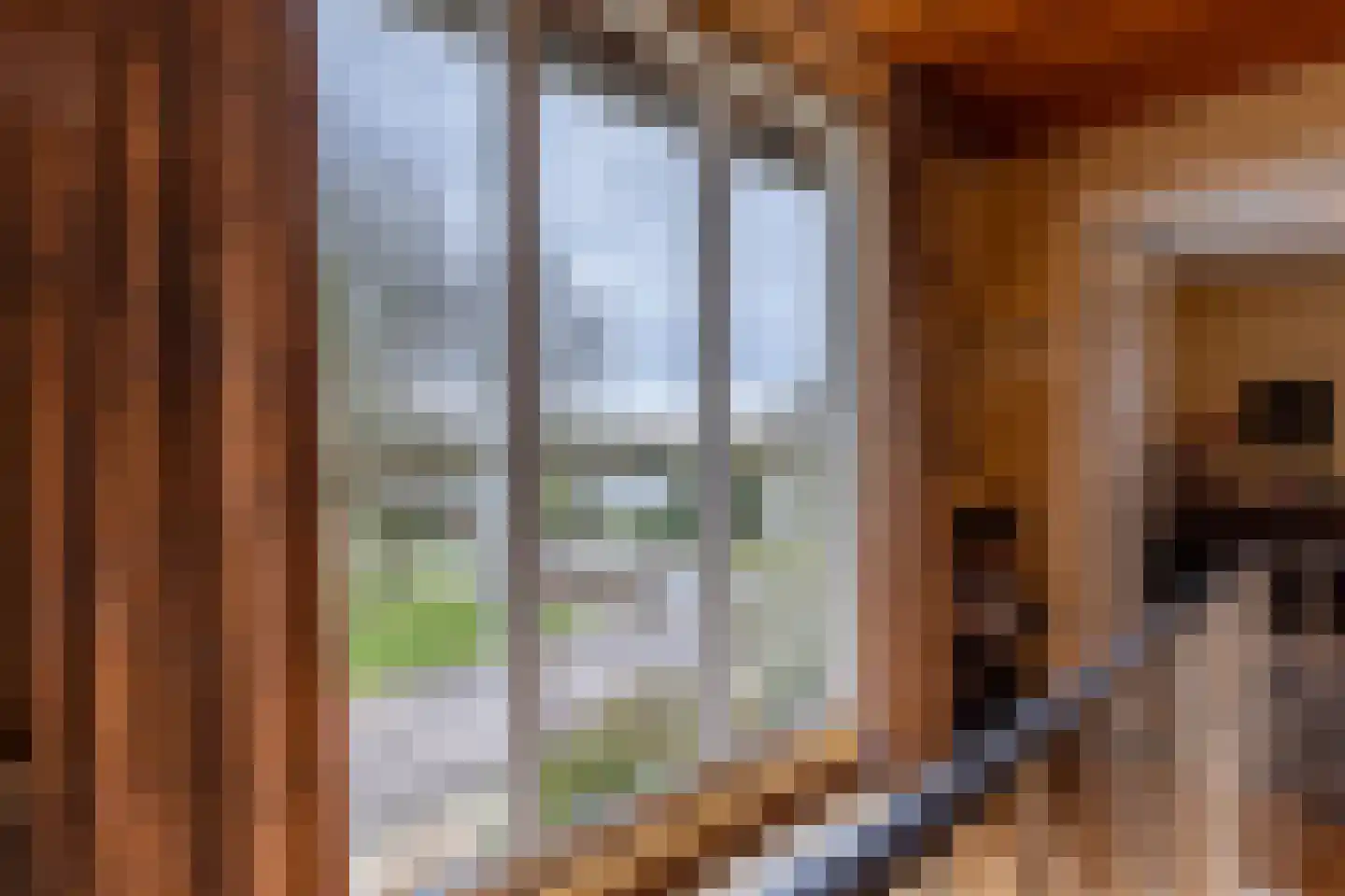 Hoofdbank 22 Klimmen thumbnail 17
