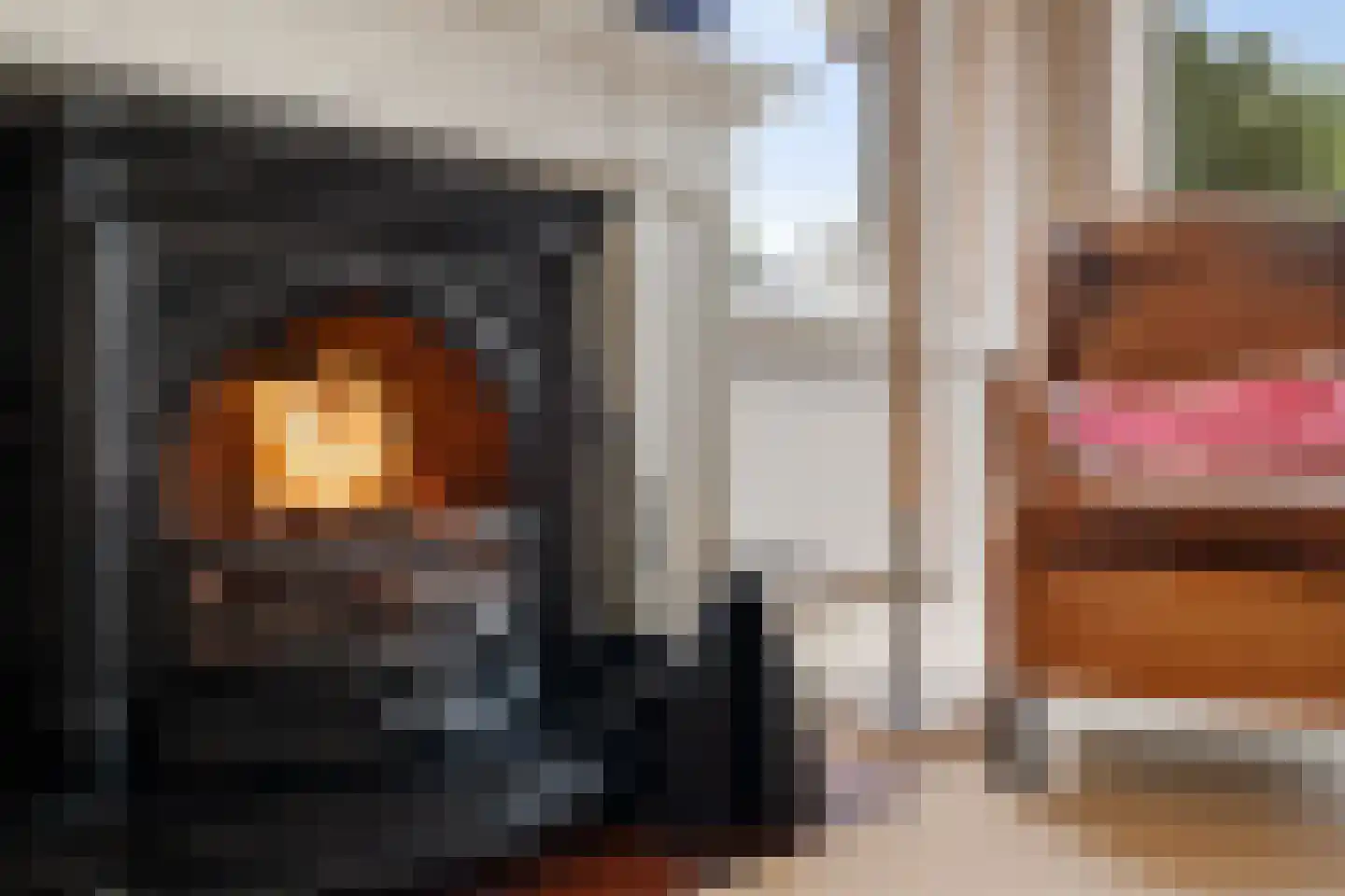 Hoofdkade 7 Ter Apel thumbnail 15