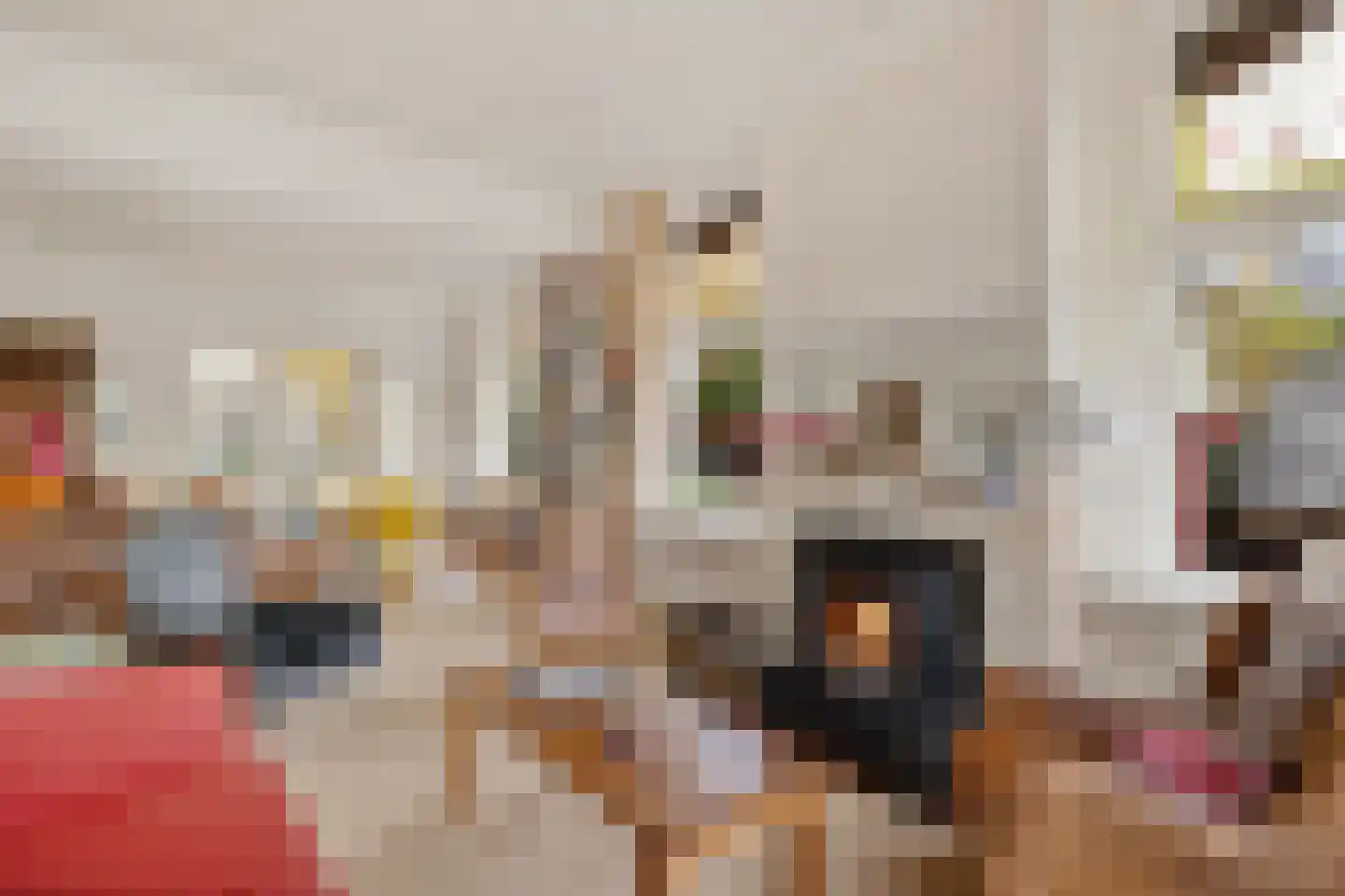 Hoofdkade 7 Ter Apel thumbnail 17