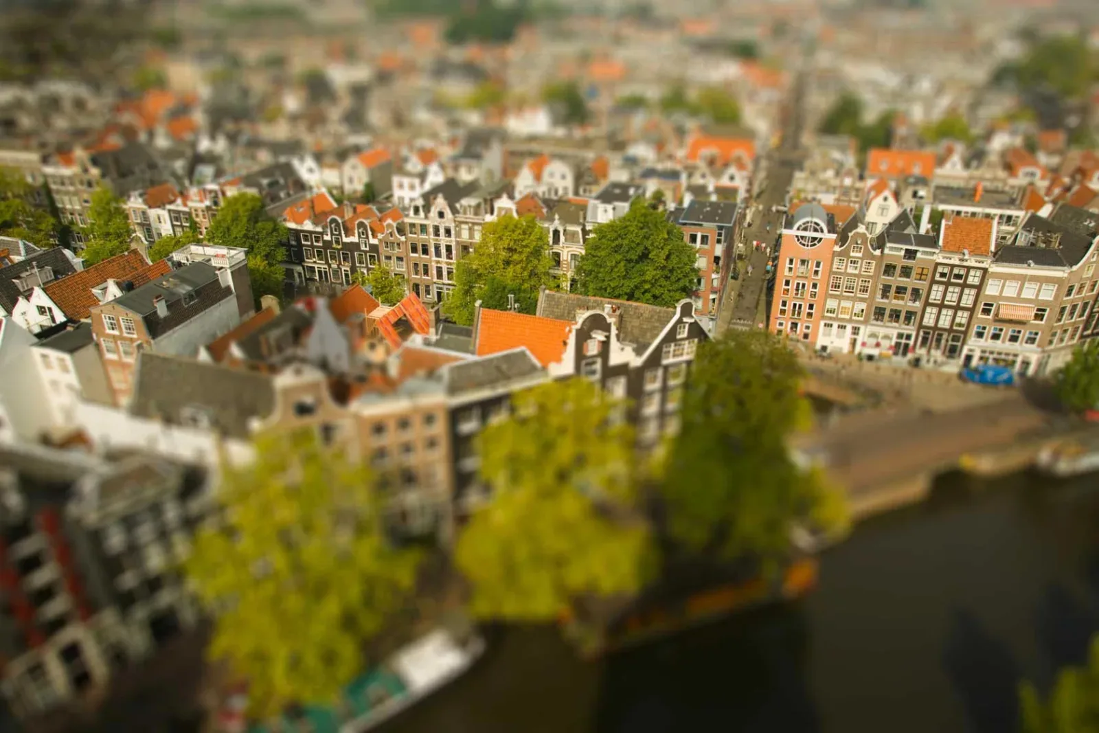 Team photo of Hoofdstad Makelaars