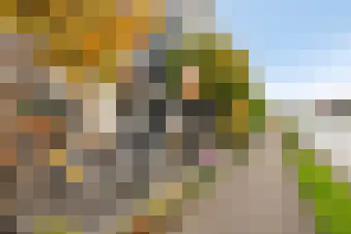 Hoofdstraat 100 Leiderdorp thumbnail 51