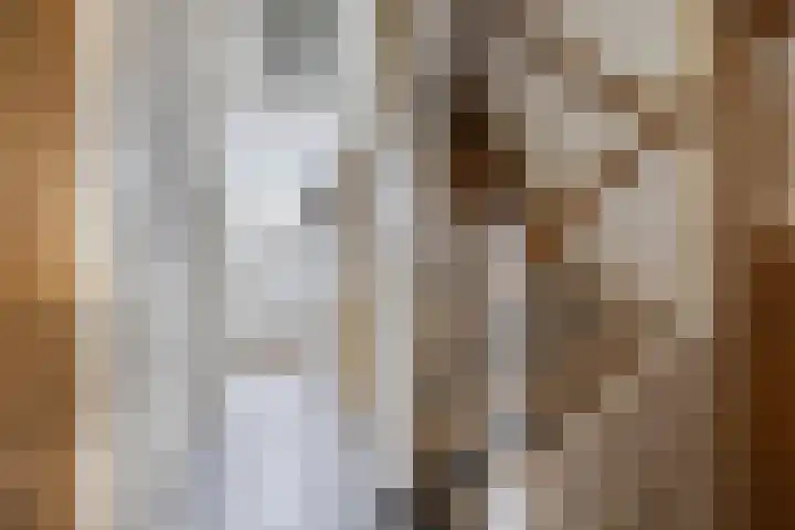 Hoofdstraat 100 Leiderdorp thumbnail 7