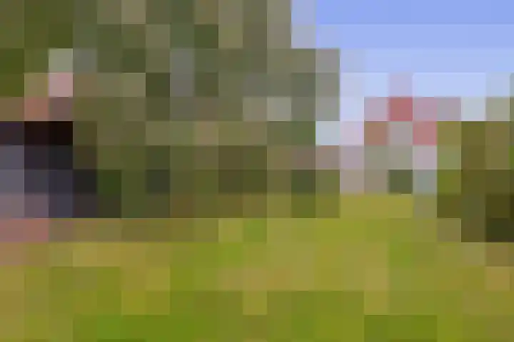 Hoofdstraat 110 Beerta thumbnail 25