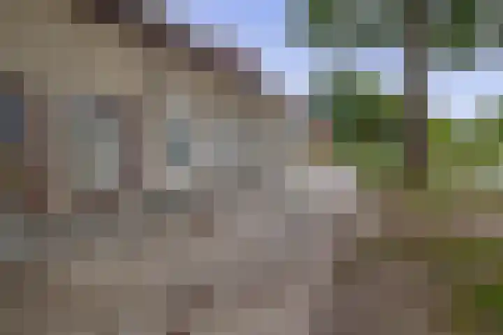Hoofdstraat 110 Beerta thumbnail 5