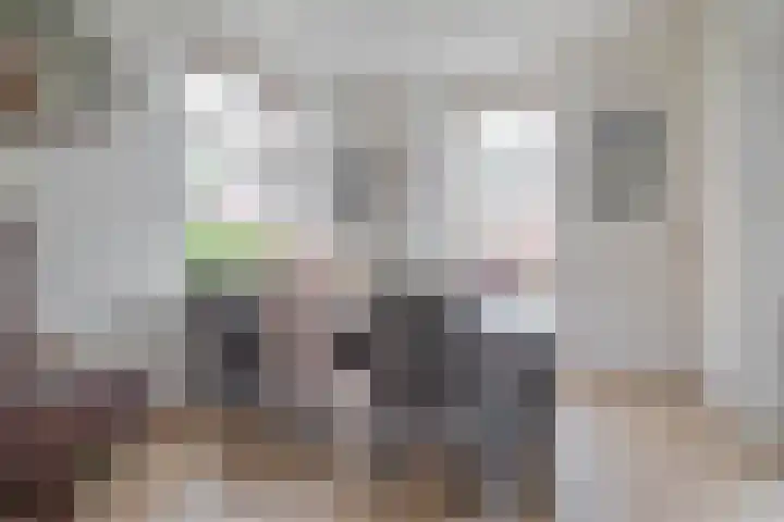 Hoofdstraat 110 Beerta thumbnail 7
