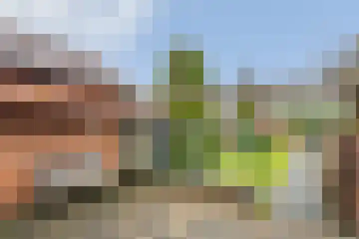 Hoofdstraat 12 e Rolde thumbnail 11