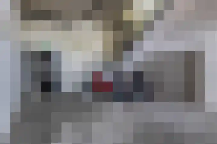Hoofdstraat 123 E Schijndel thumbnail 33