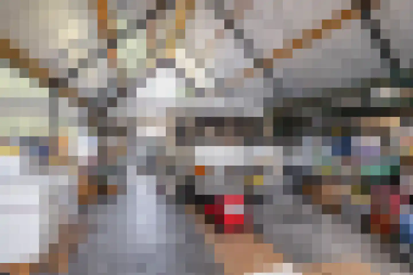Hoofdstraat 167 Lettelbert thumbnail 24