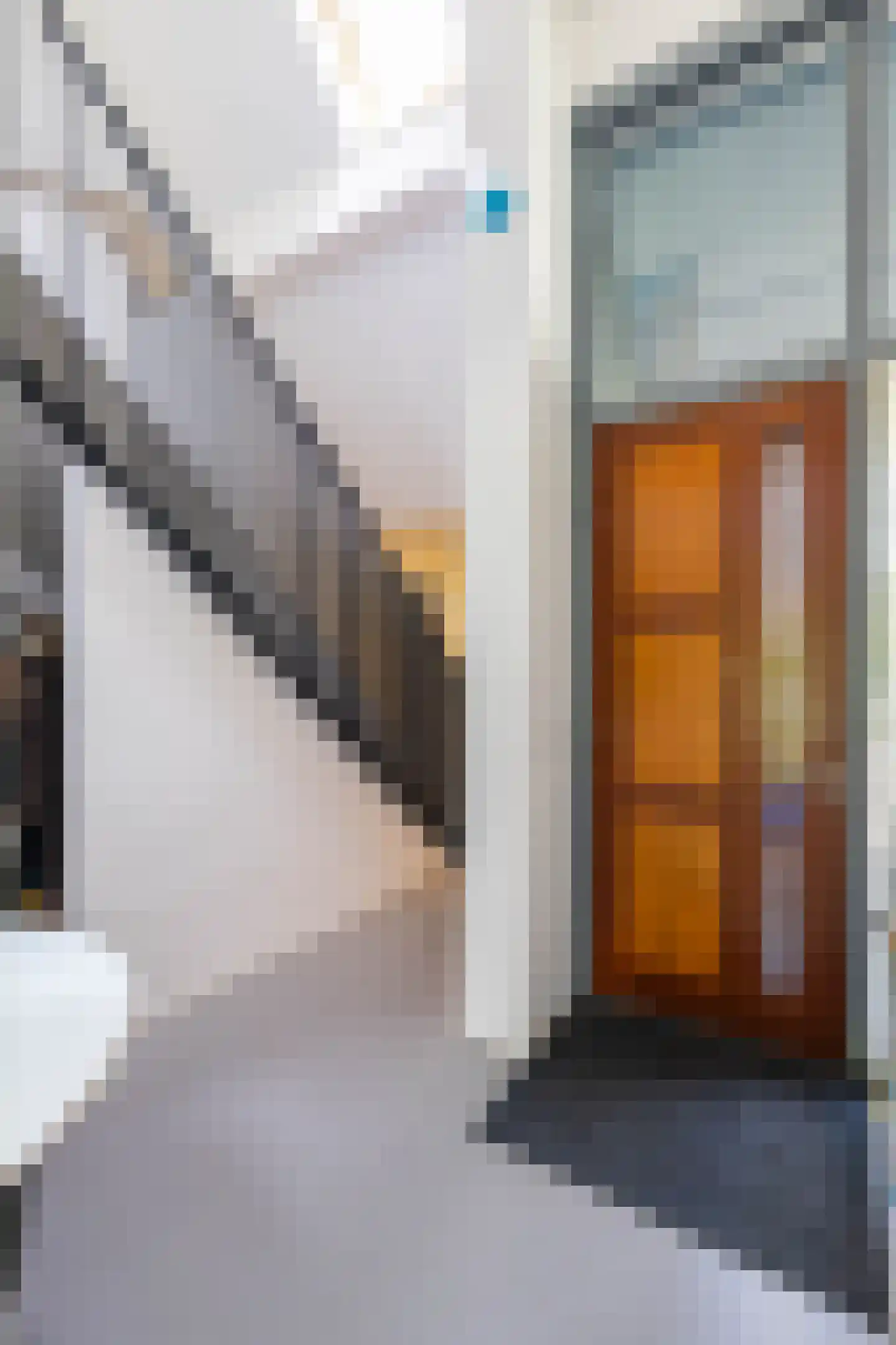 Hoofdstraat 167 Lettelbert thumbnail 7