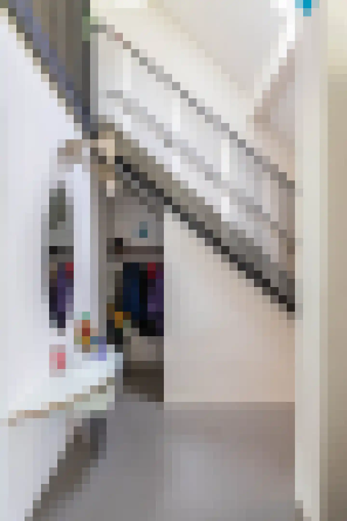 Hoofdstraat 167 Lettelbert thumbnail 8