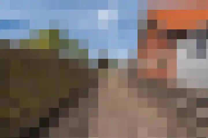 Hoofdstraat 175 Beerta thumbnail 42