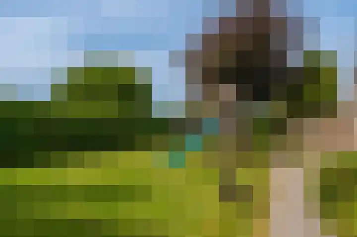 Hoofdstraat 175 Beerta thumbnail 46