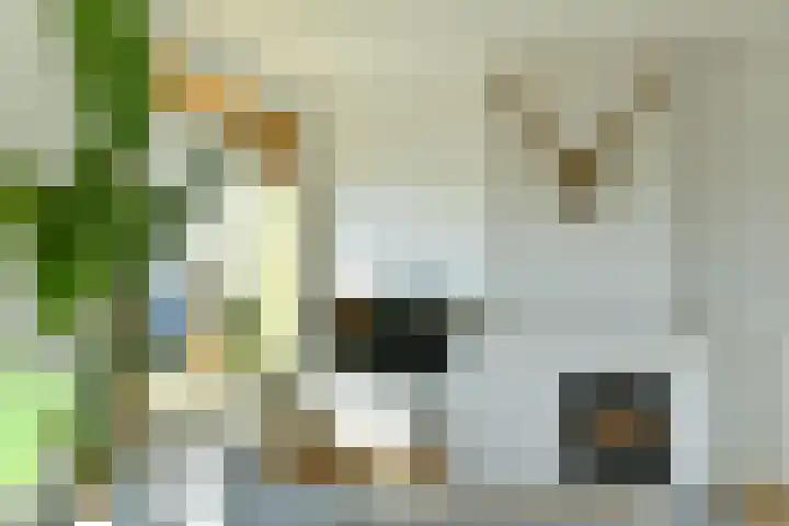 Hoofdstraat 176 Velp thumbnail 12