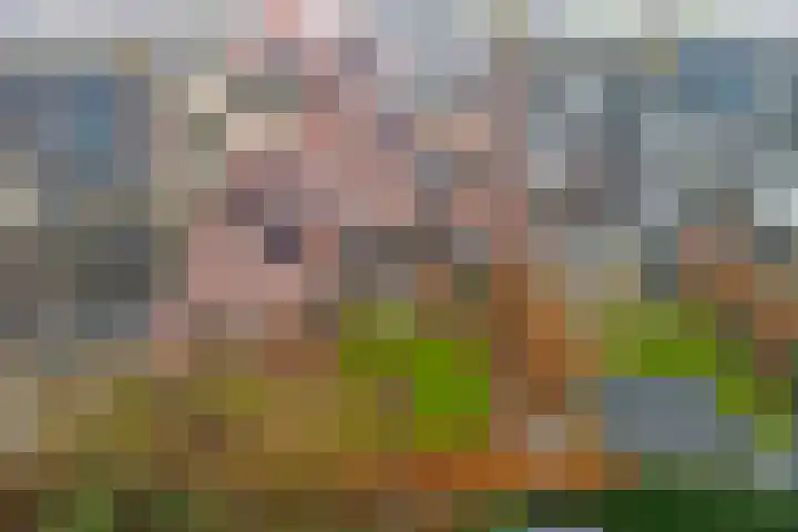 Hoofdstraat 18 E Herpt thumbnail 47