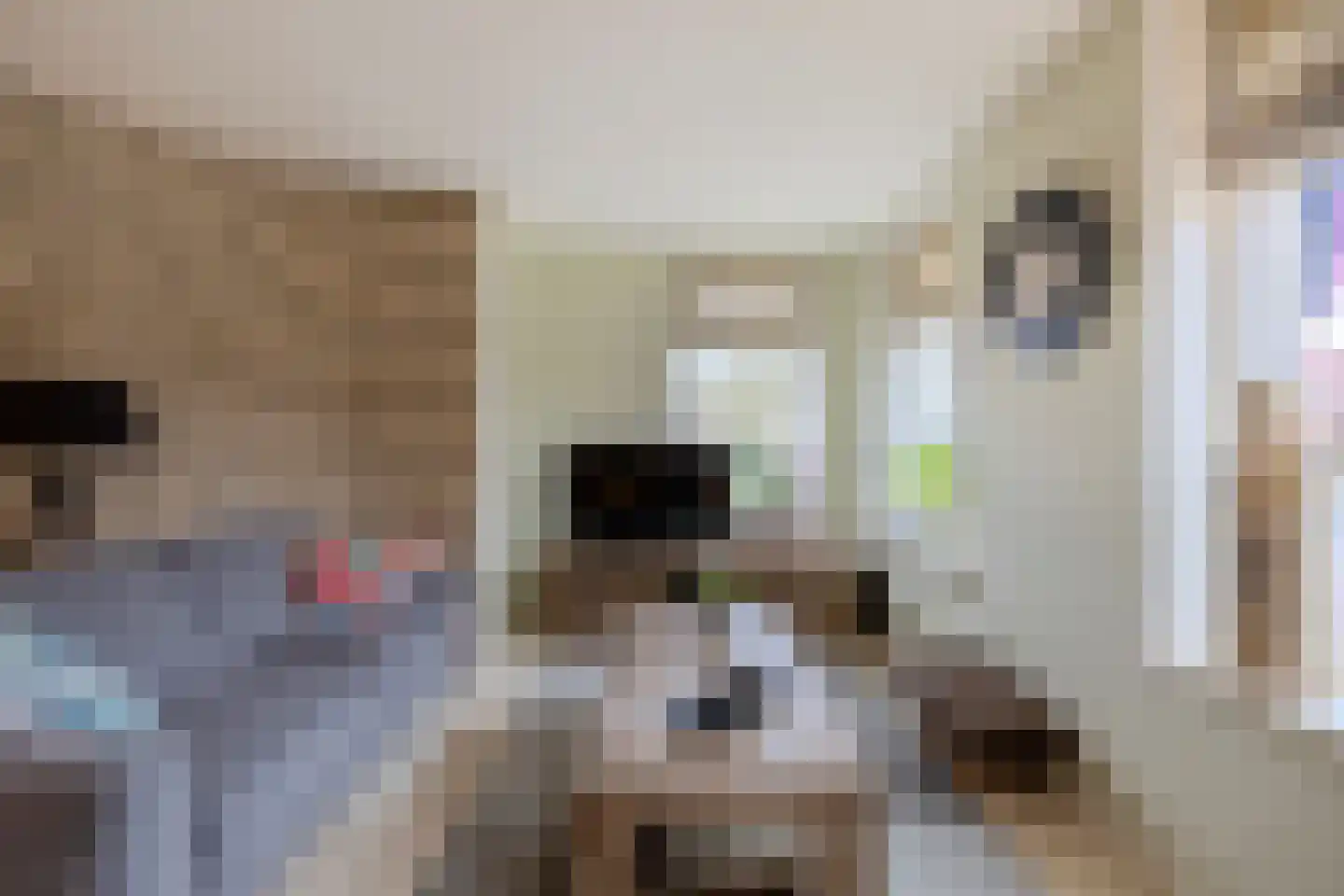 Hoofdstraat 187 Uithuizermeeden thumbnail 11