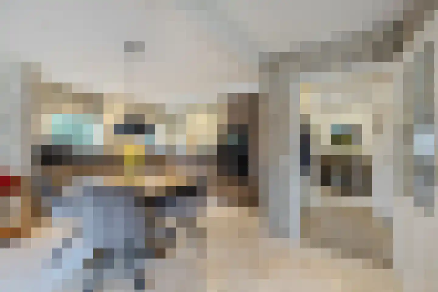 Hoofdstraat 187 Uithuizermeeden thumbnail 15