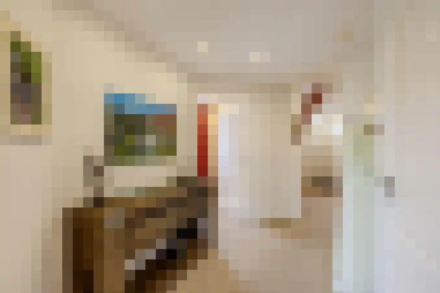 Hoofdstraat 187 Uithuizermeeden thumbnail 20
