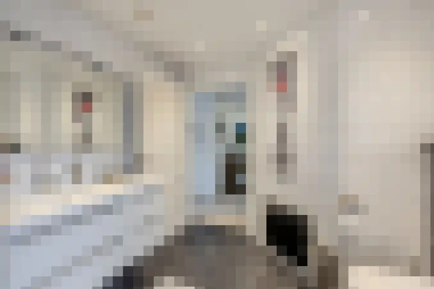 Hoofdstraat 187 Uithuizermeeden thumbnail 33