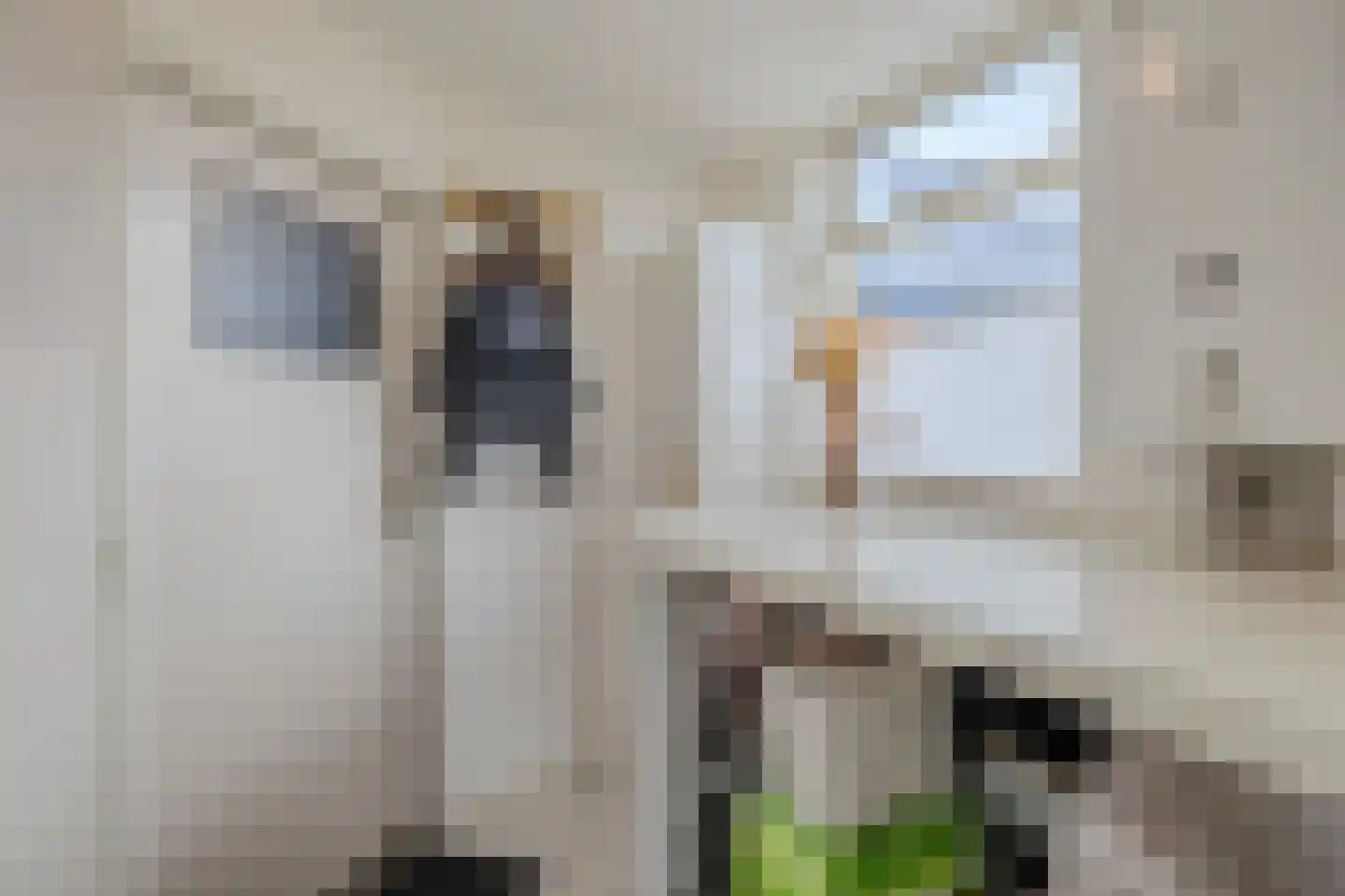 Hoofdstraat 187 Uithuizermeeden thumbnail 41