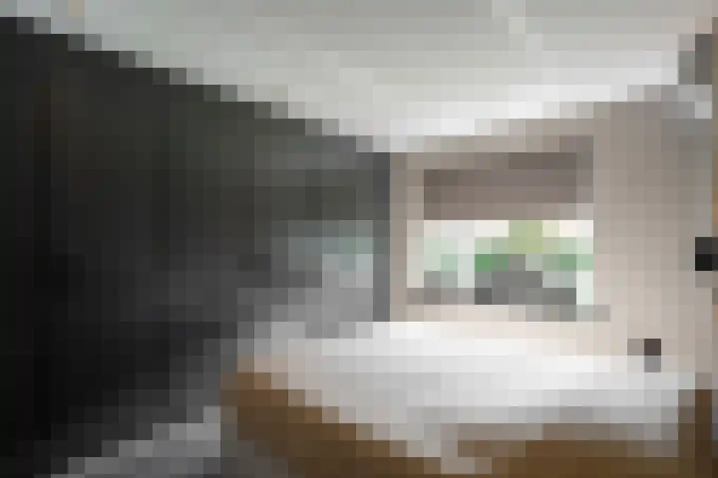 Hoofdstraat 191 Epe thumbnail 19