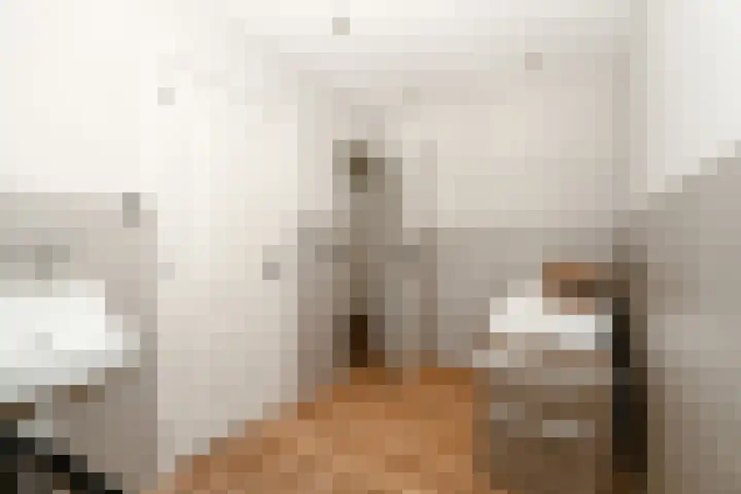 Hoofdstraat 191 Epe thumbnail 24