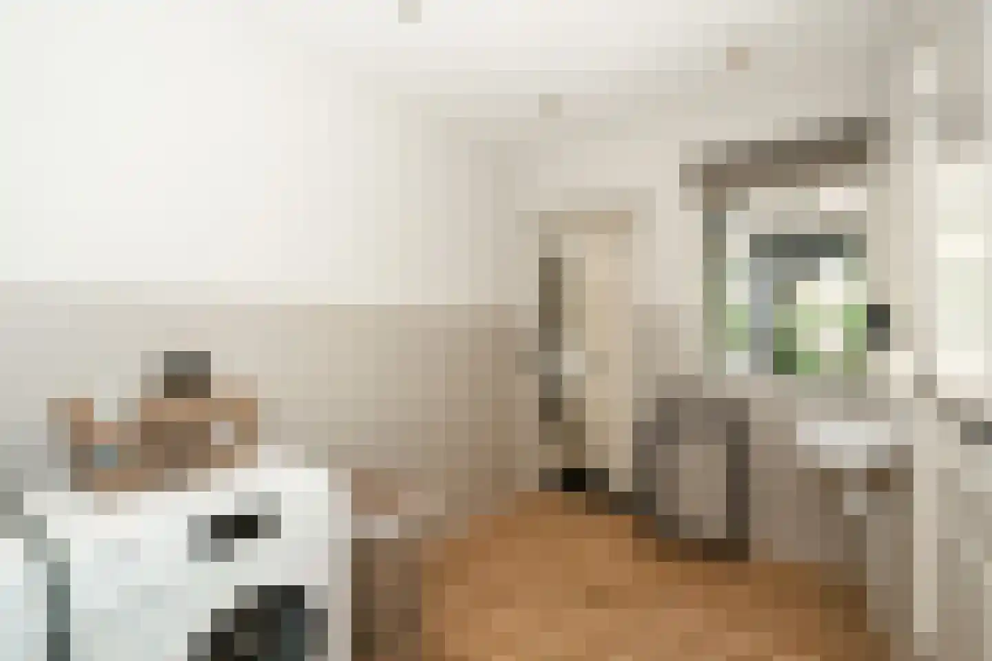 Hoofdstraat 191 Epe thumbnail 25