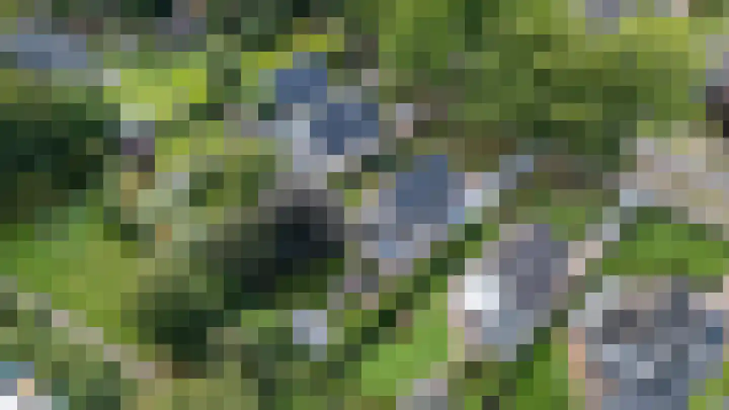 Hoofdstraat 191 Epe thumbnail 43