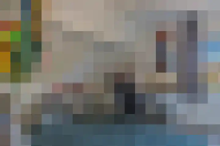 Hoofdstraat 2 C Borger thumbnail 18
