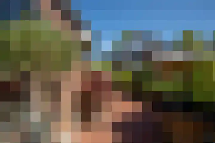 Hoofdstraat 2 C Borger thumbnail 27