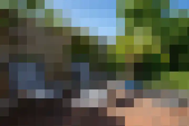 Hoofdstraat 2 C Borger thumbnail 30