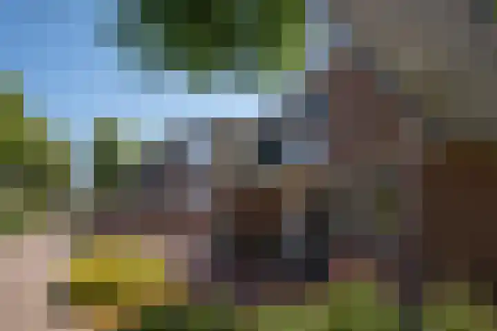 Hoofdstraat 2 C Borger thumbnail 33