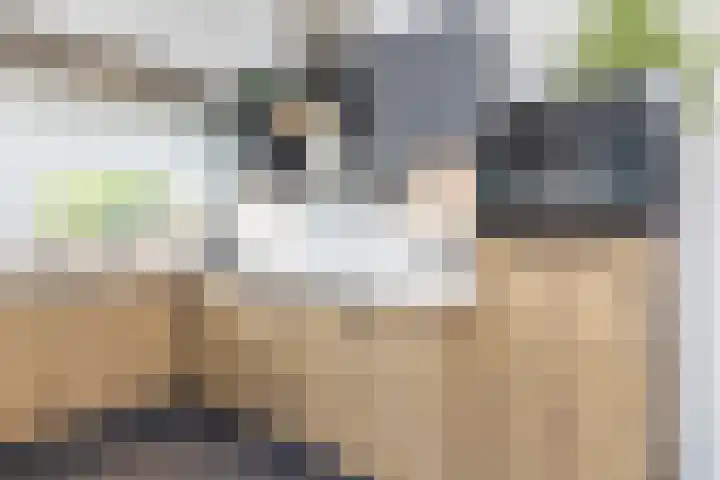 Hoofdstraat 2 Schimmert thumbnail 12