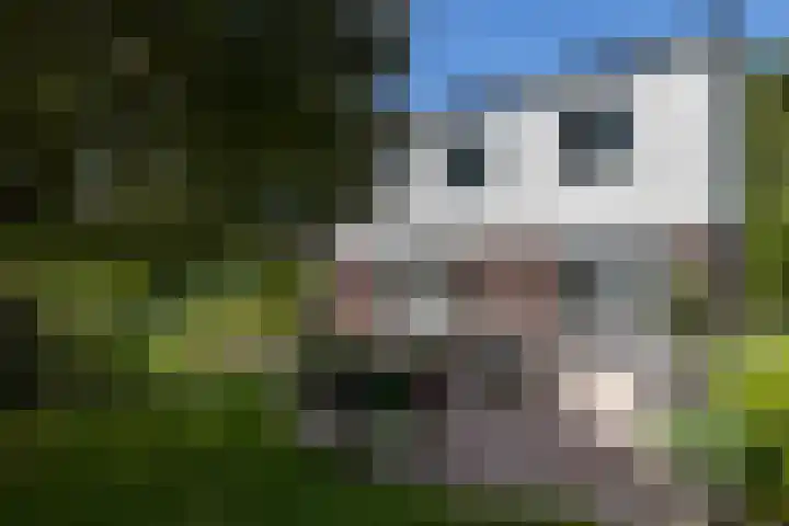 Hoofdstraat 2 Schimmert thumbnail 24