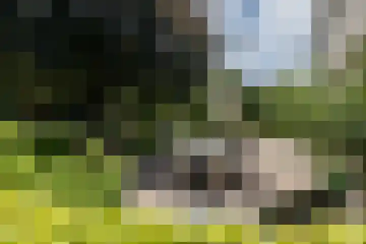 Hoofdstraat 2 Schimmert thumbnail 25