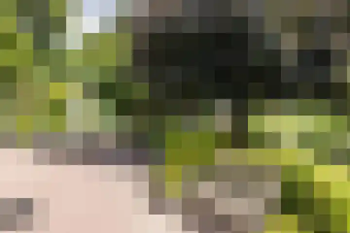 Hoofdstraat 2 Schimmert thumbnail 26